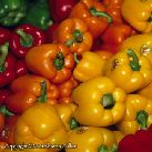 Bell Peppers