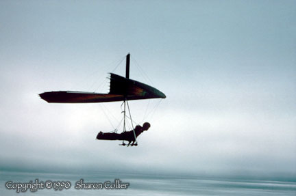 Hang Glider