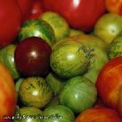 Heirloom Tomatoes