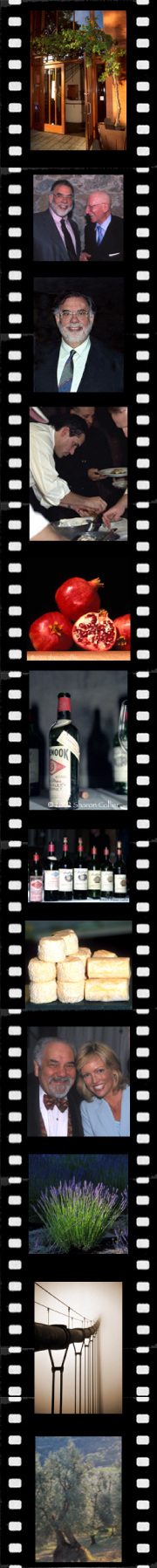 Filmstrip with commercial images by Sharon Collier